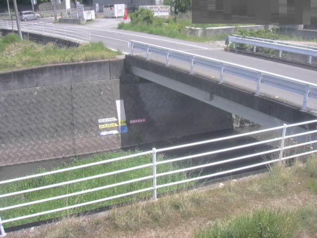 拡大画像