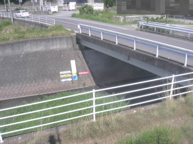拡大画像