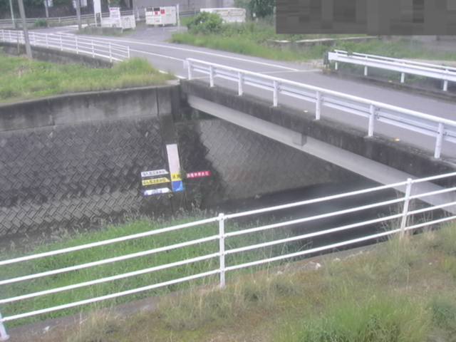 拡大画像