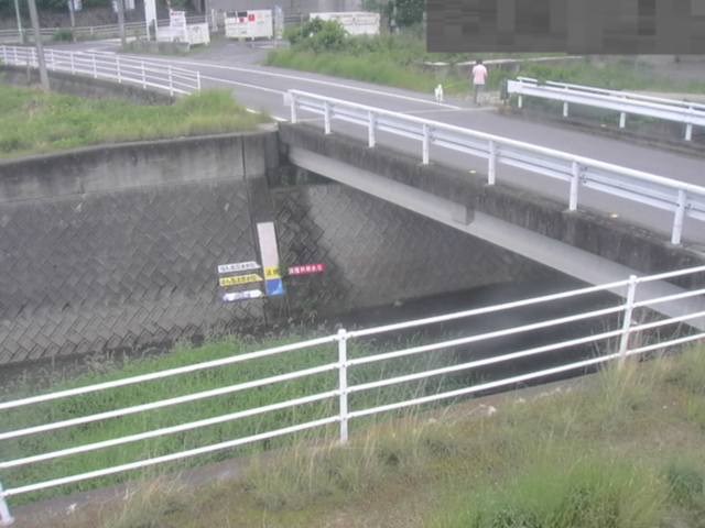 拡大画像