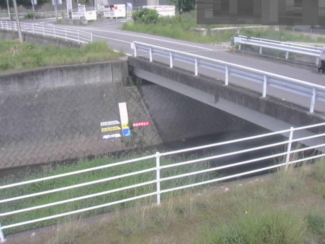 拡大画像