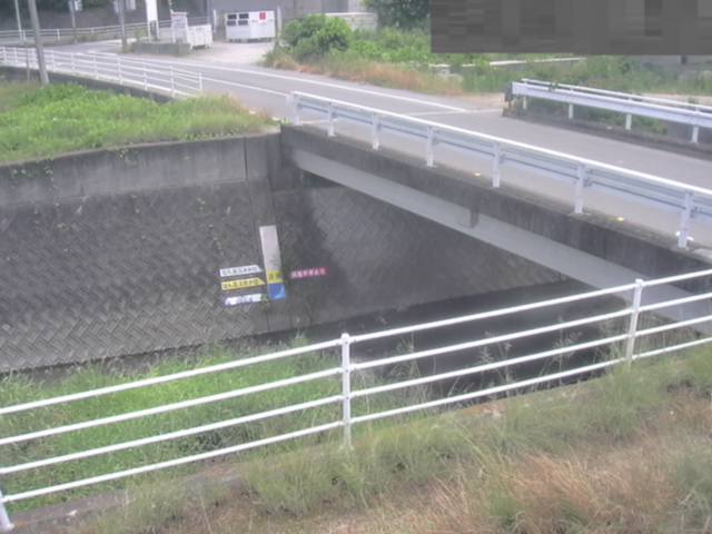 拡大画像