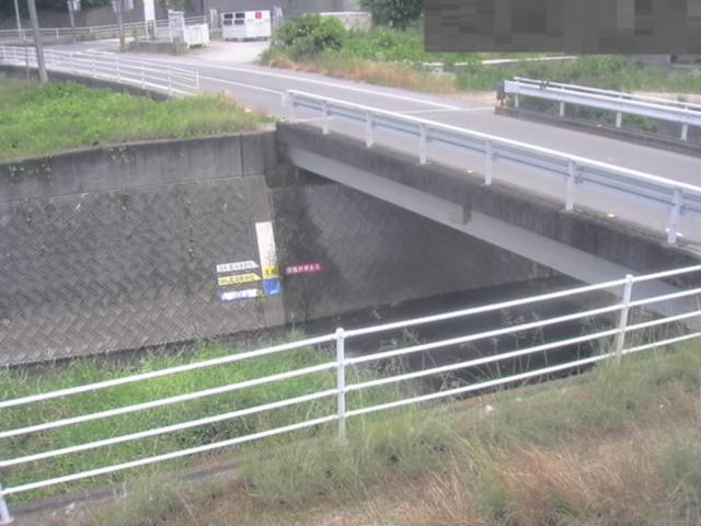 拡大画像