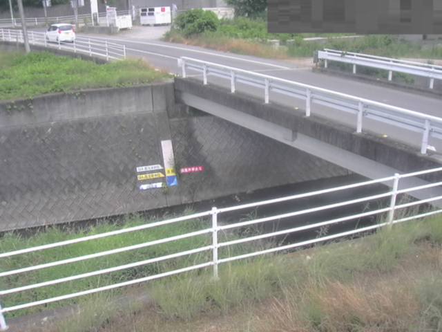拡大画像
