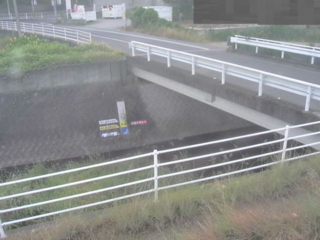 拡大画像