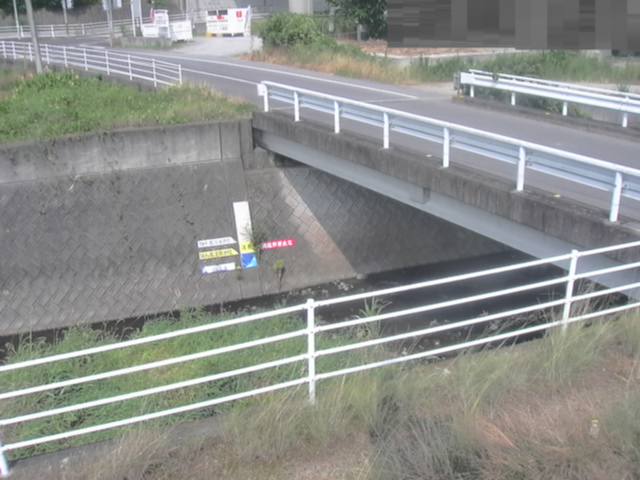拡大画像