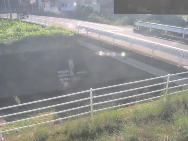 拡大画像