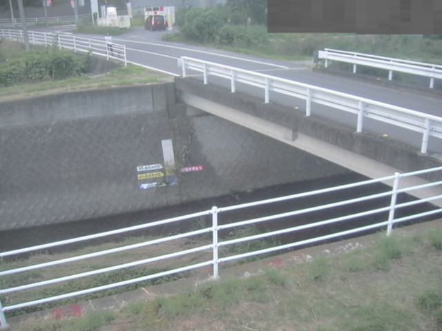 拡大画像