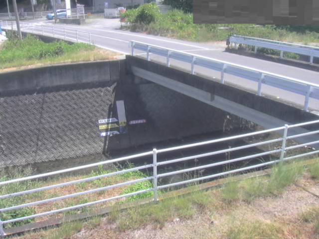 拡大画像