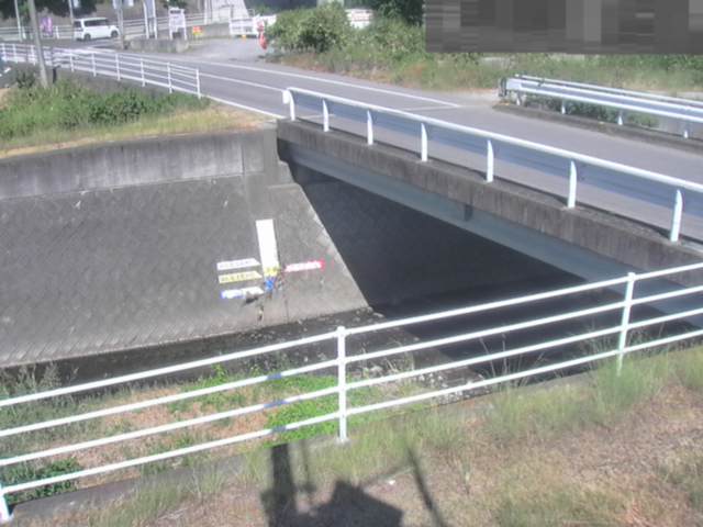 監視画像