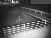 2026-01-31 06:00:00 +0900