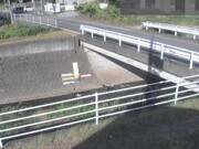 福家