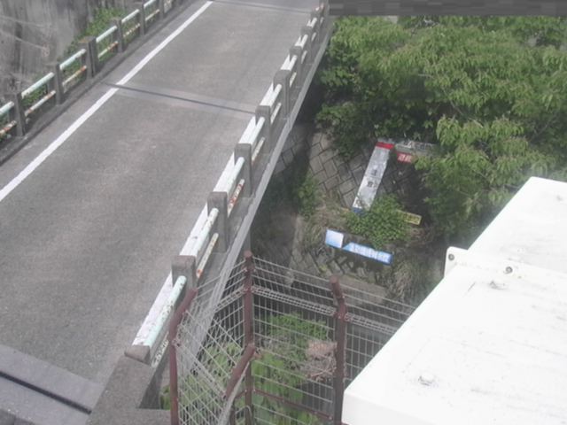 拡大画像