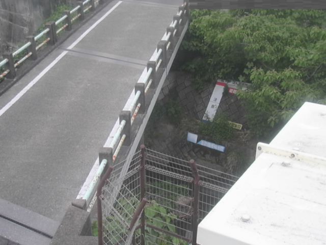 拡大画像