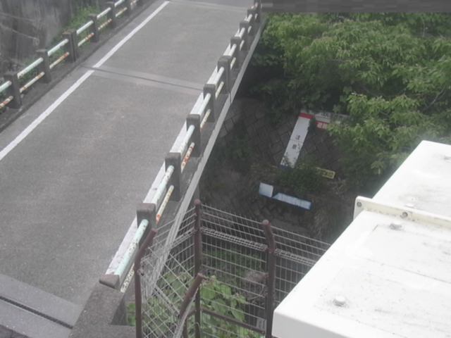 拡大画像