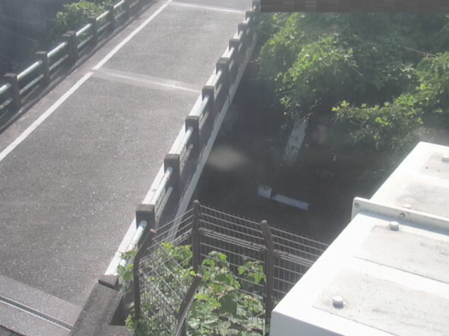 拡大画像
