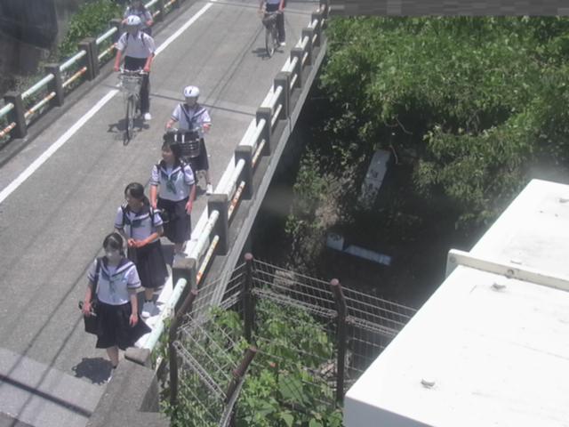 拡大画像