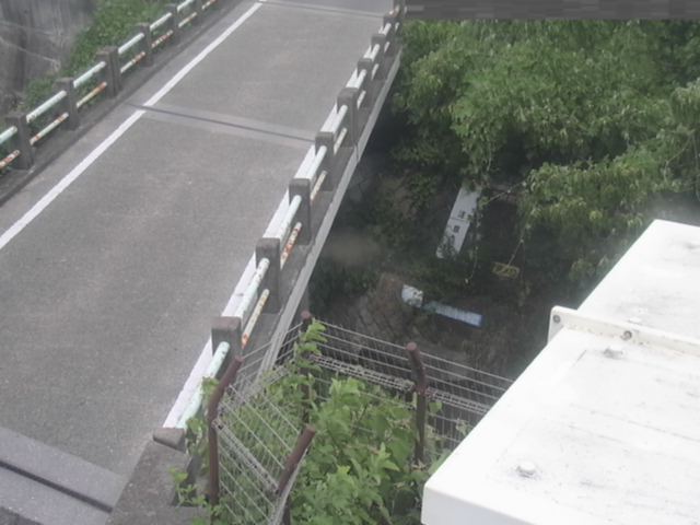 拡大画像