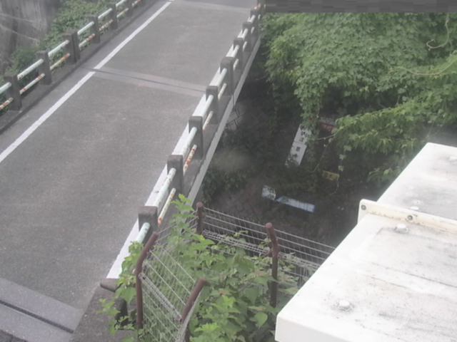 拡大画像