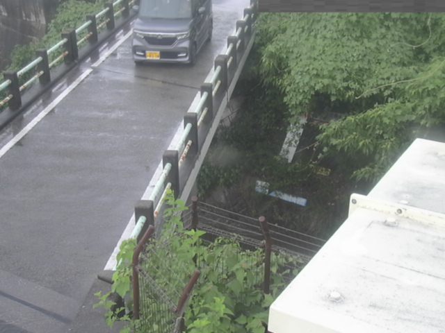 拡大画像