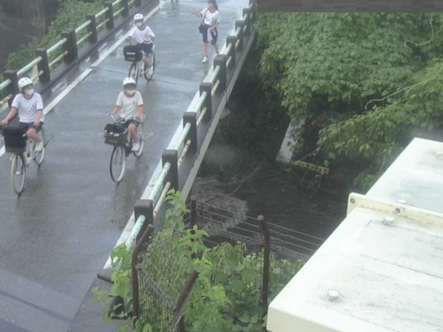 拡大画像