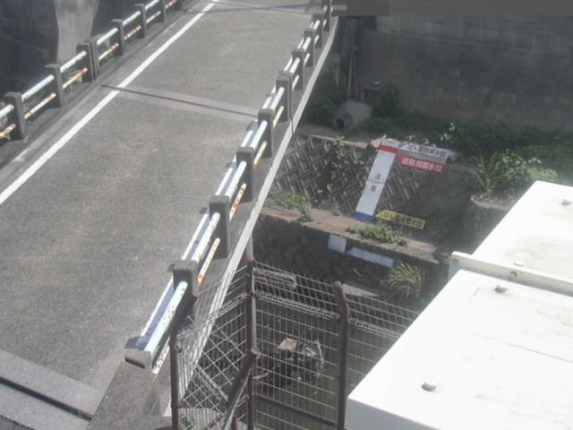 拡大画像