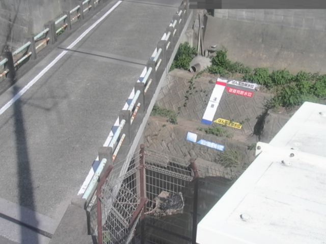 拡大画像