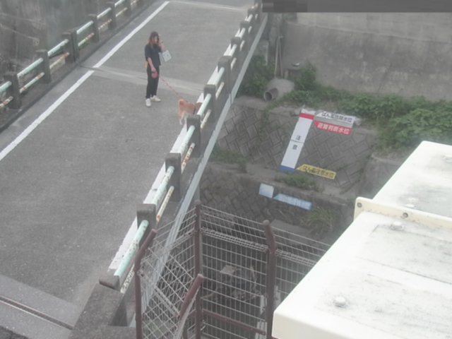 拡大画像