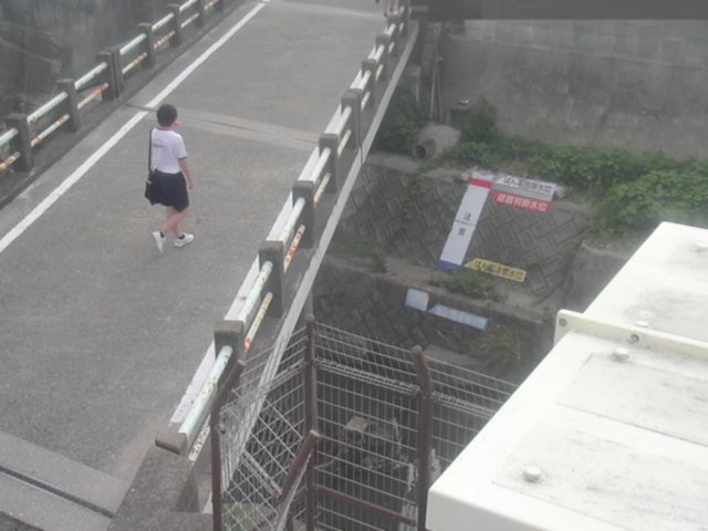 拡大画像