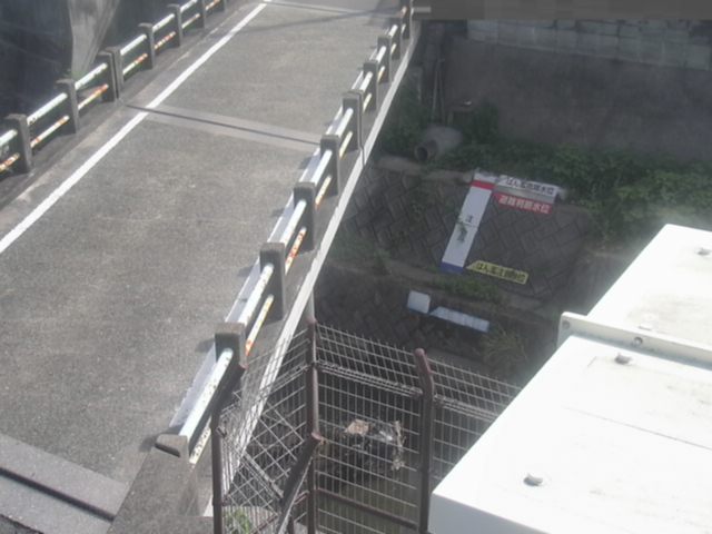 拡大画像