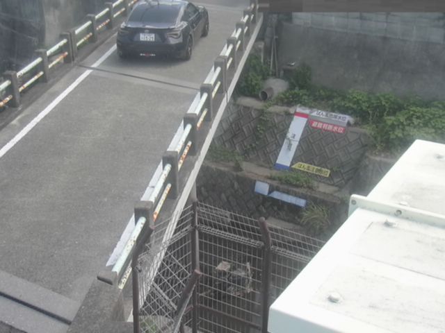 拡大画像