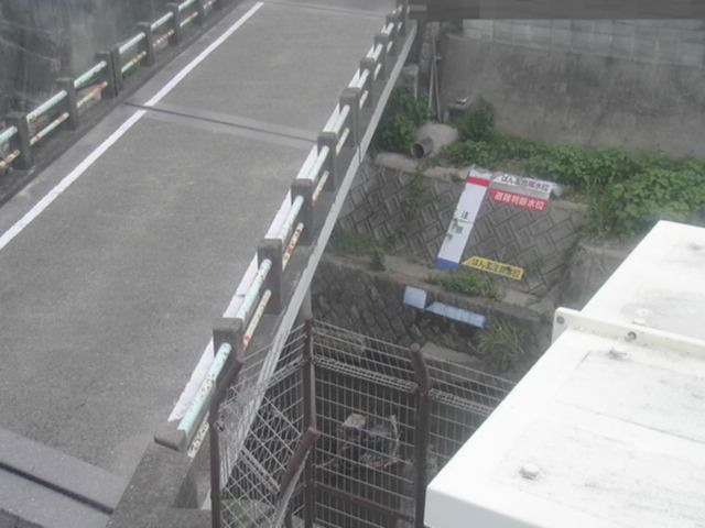 拡大画像