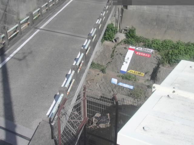 拡大画像
