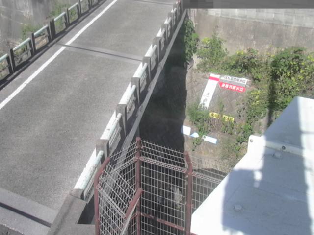 拡大画像