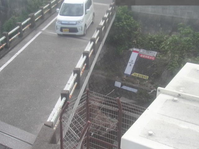 拡大画像