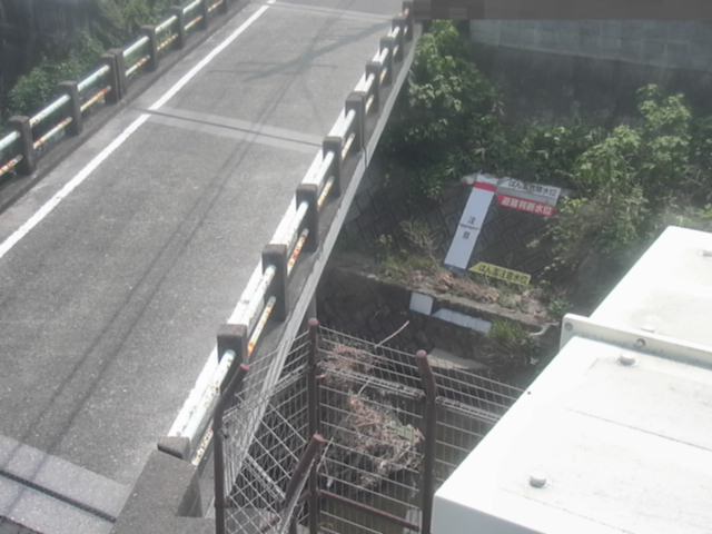 拡大画像