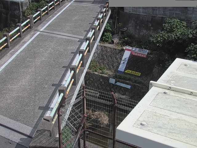 拡大画像