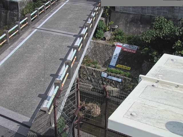 拡大画像