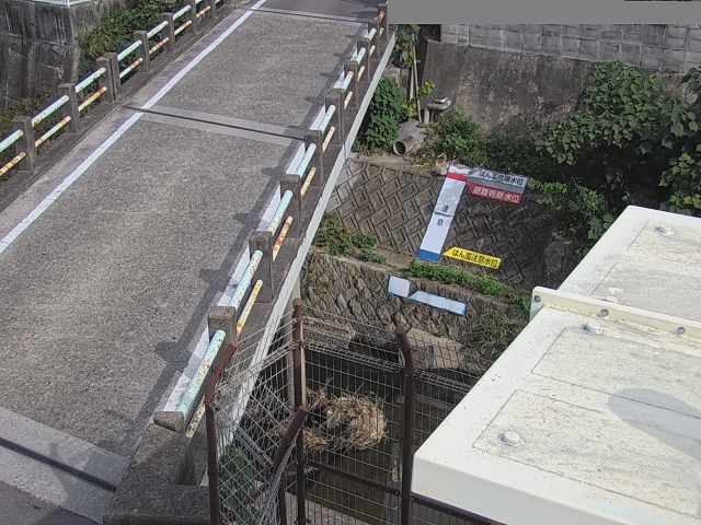 拡大画像