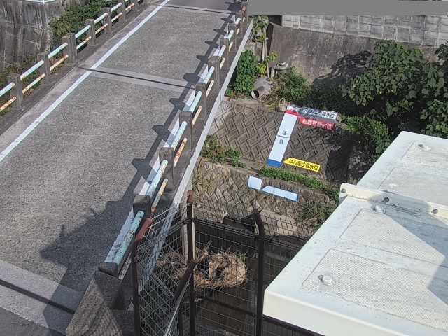 拡大画像