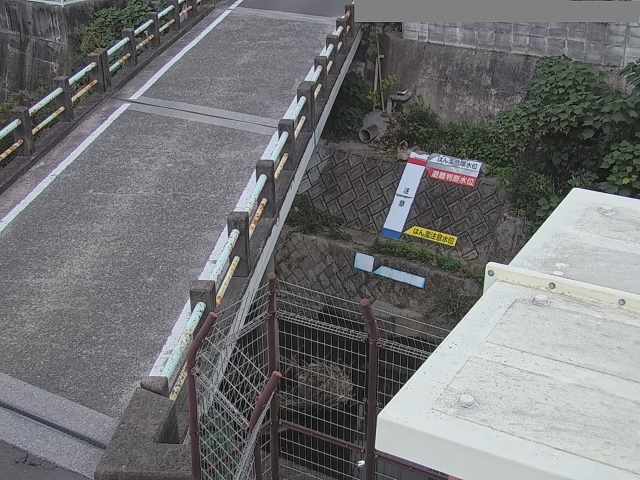 拡大画像