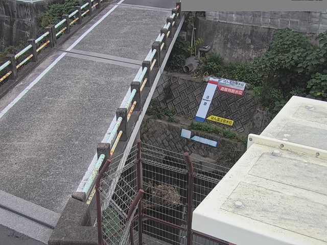 拡大画像