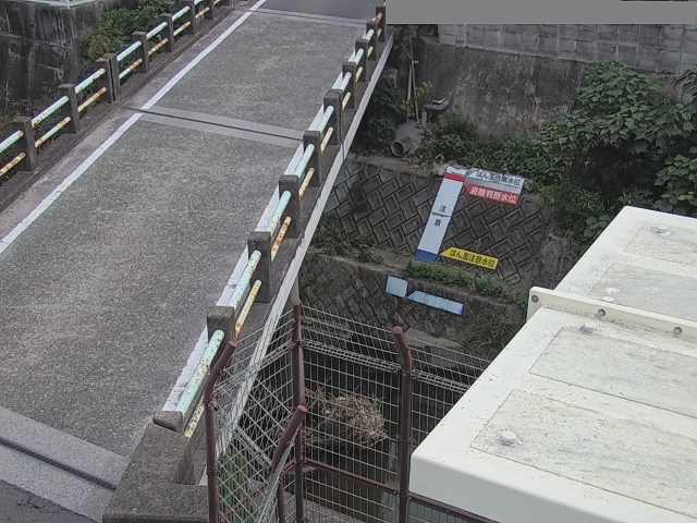 拡大画像