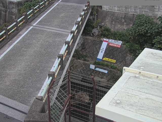 拡大画像