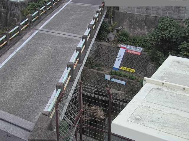 拡大画像