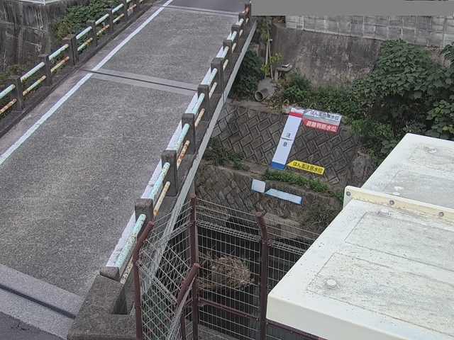 監視画像