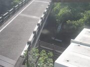 2025-06-19 08:00:00 +0900