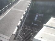 国分寺