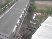 国分寺