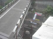国分寺